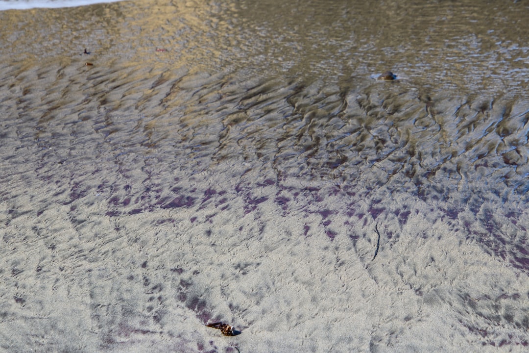 Photo wind patterns pond surface shearing