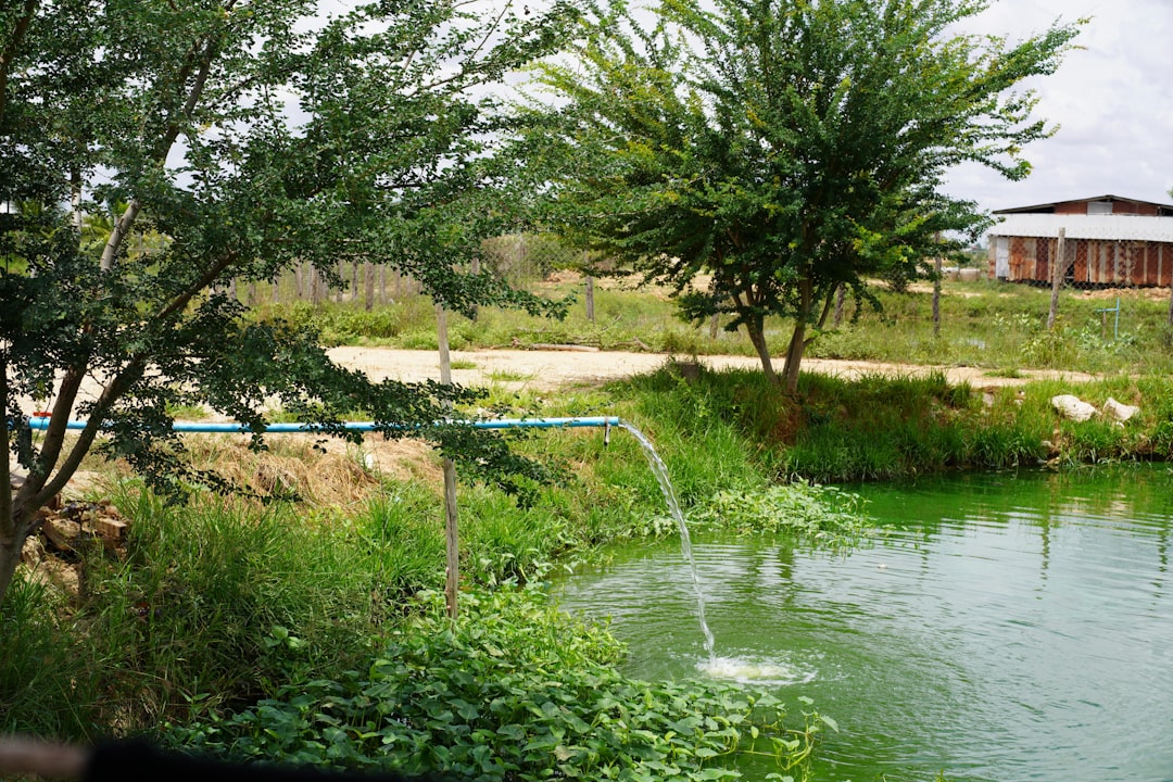 Balancing Agricultural Water Extraction for Sustainability