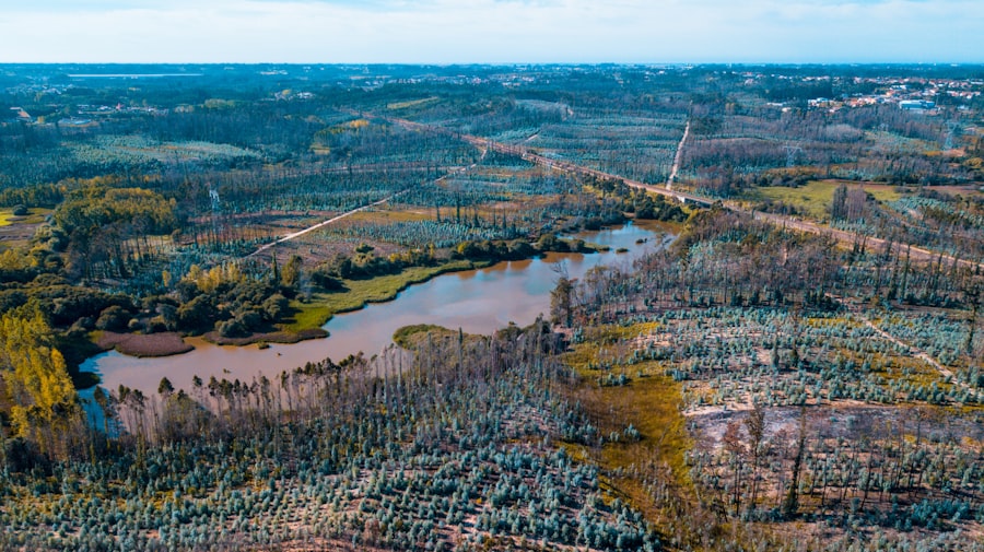 Photo mississippi river levee system failure