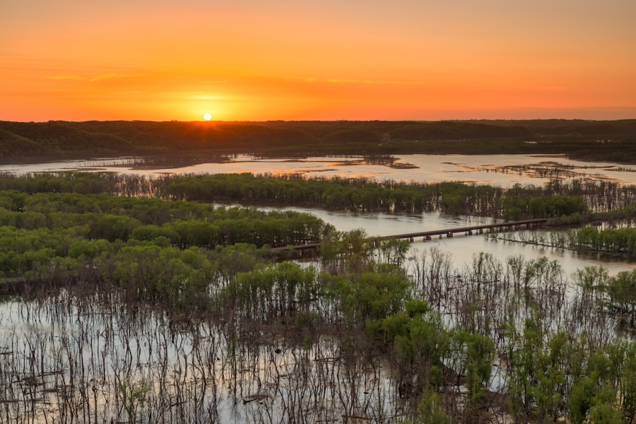 Photo mississippi river drought climate change