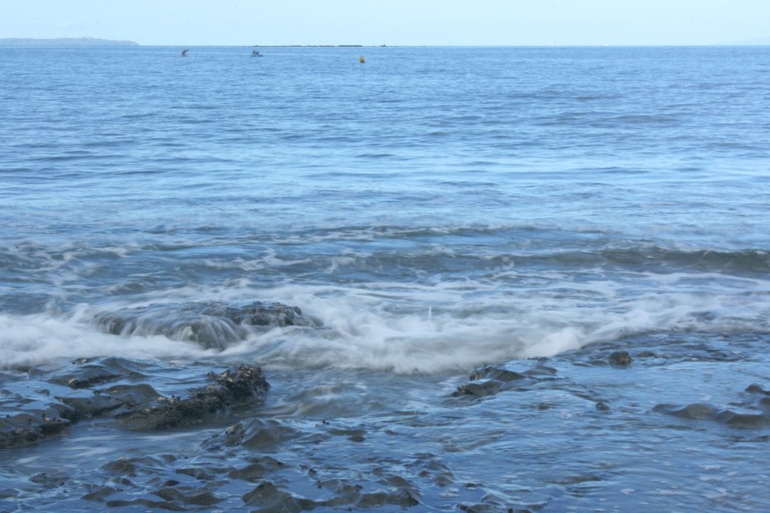 Photo saltwater intrusion