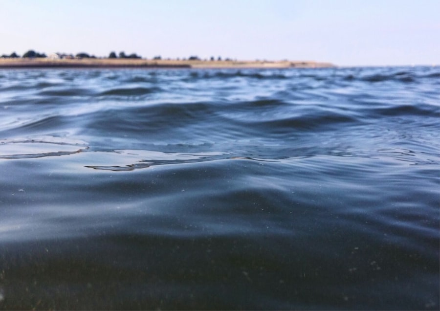 Photo saltwater intrusion