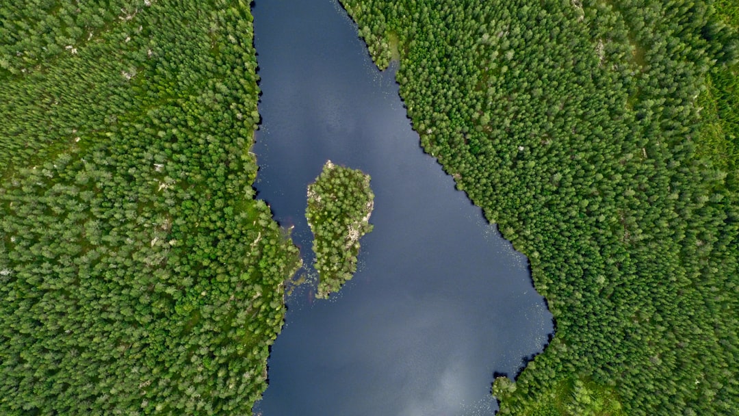 Photo Lake Gatún water levels