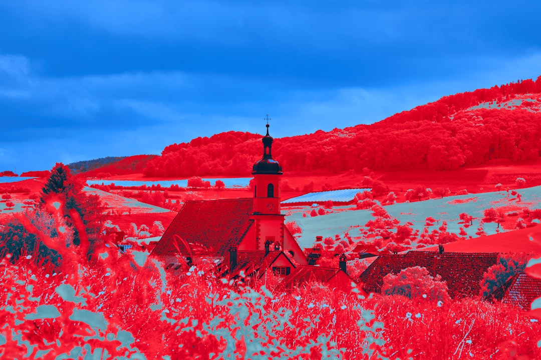 Photo red sea crisis