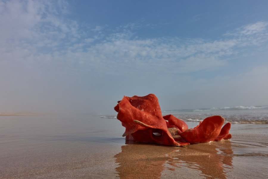 Photo red sea crisis impact