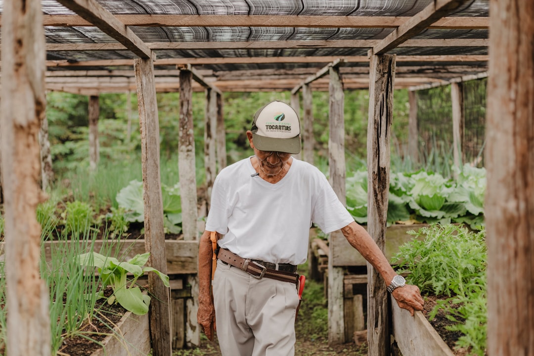 Photo tenant farmer survival strategies