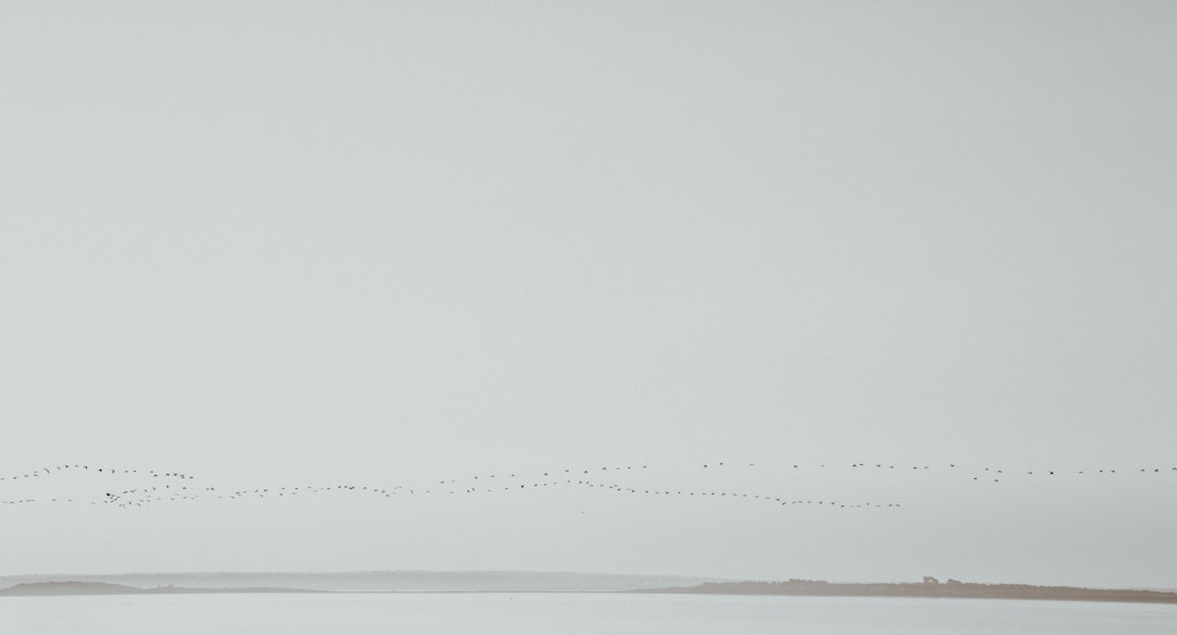 Photo furniture delivery delays