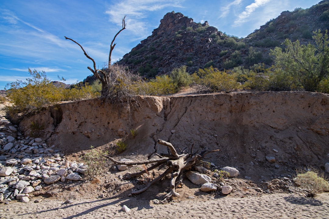 Can Phoenix Survive the Colorado River Crisis?
