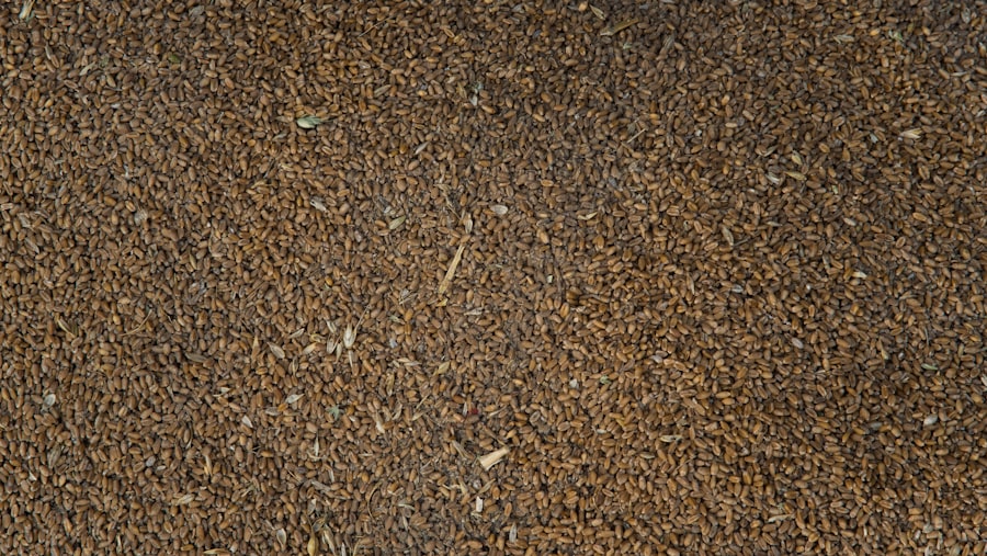 angular sand grains