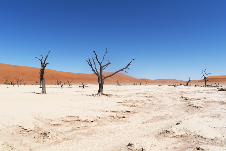 desertification