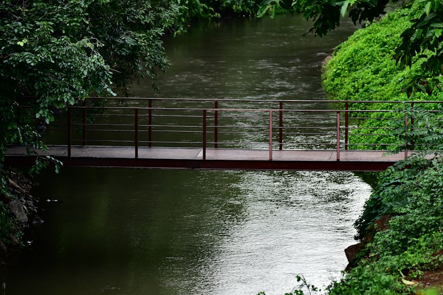 river control structure