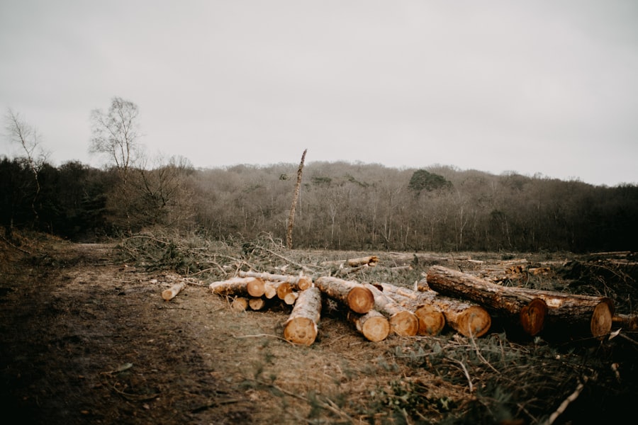 deforestation