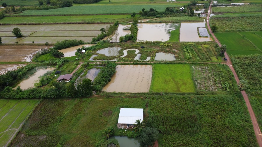 water stable agriculture