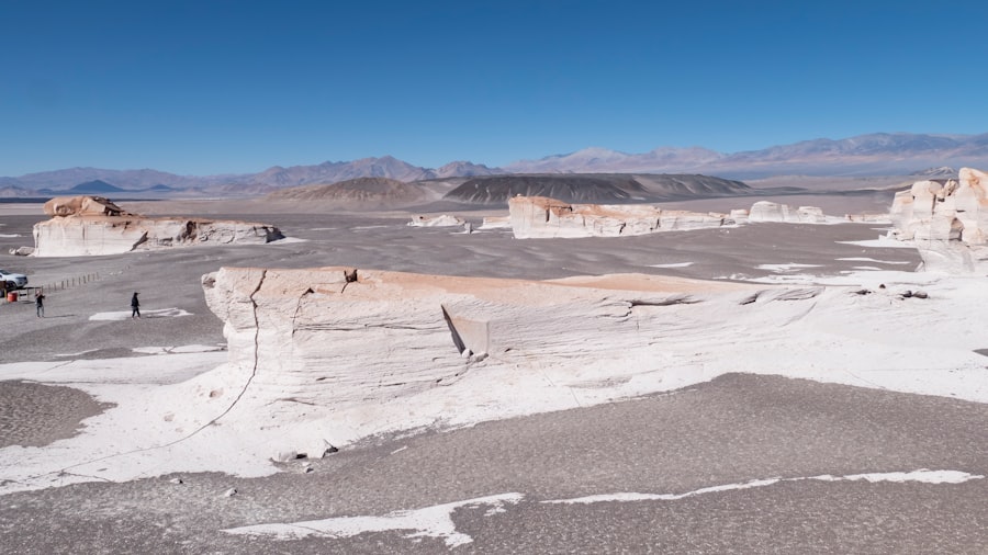 lithium mining companies
