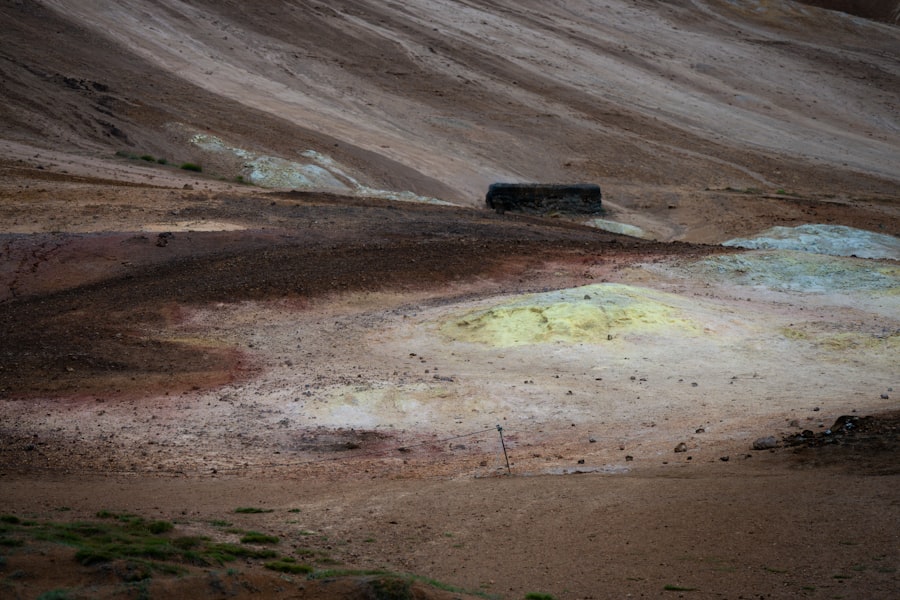 lithium mining biodiversity
