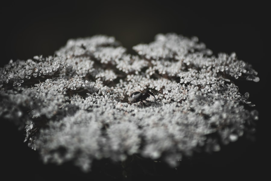 lithium recycling