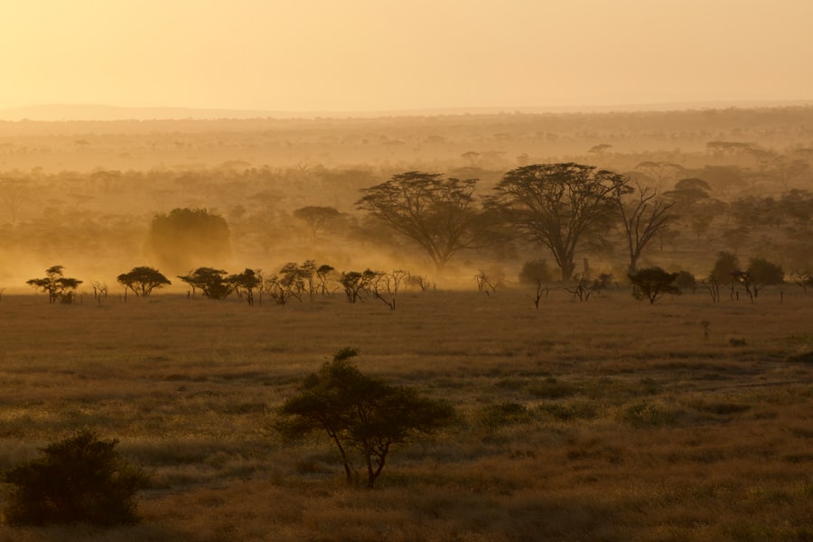 energy investment Africa