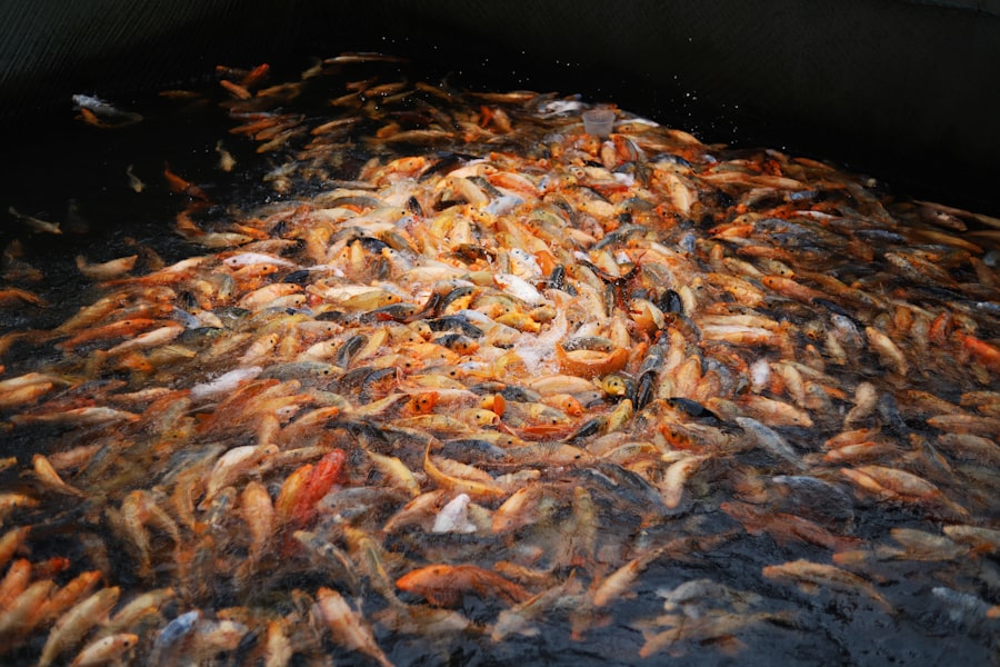 brine shrimp harvest data