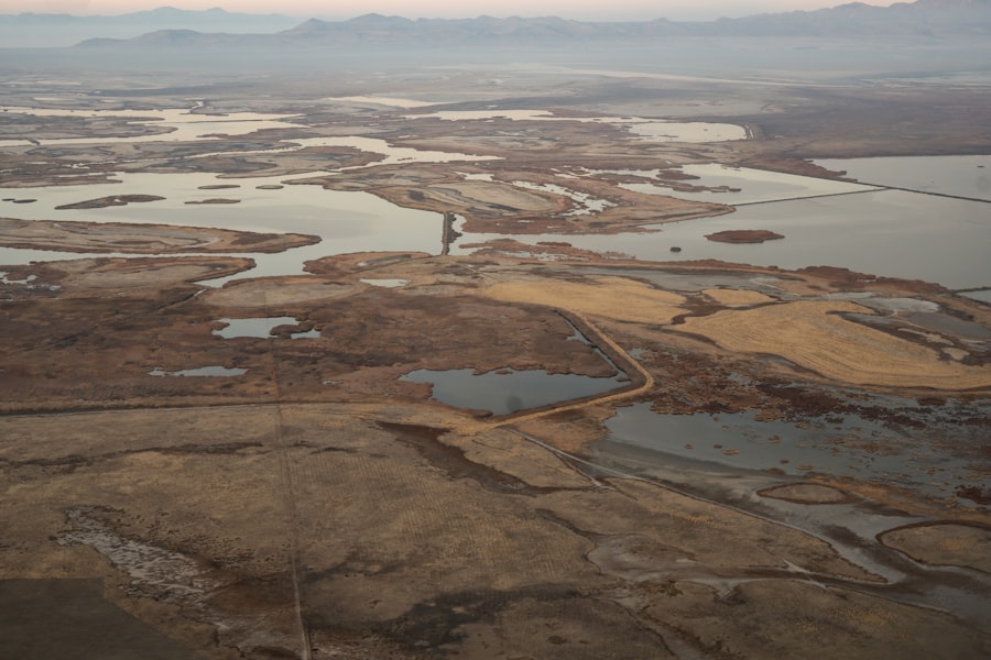 salt lake ecological floor targets