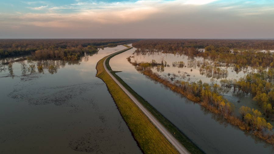 Photo mississippi river crisis