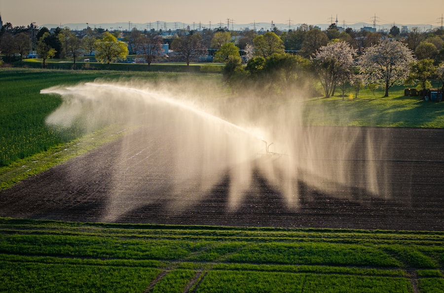 Photo drip irrigation efficiency