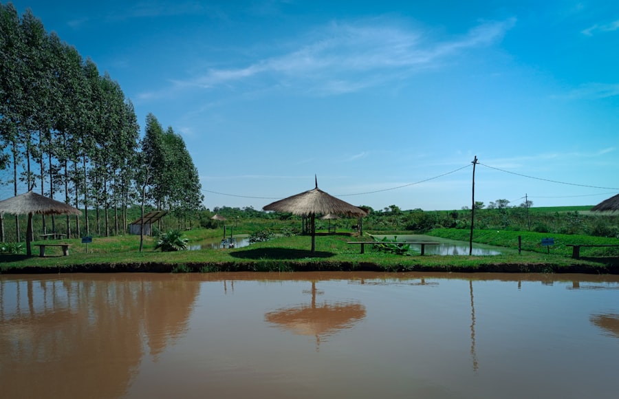 Photo Paraguay river barge draft limitations