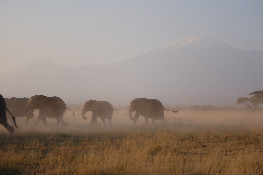 Photo national park conservation