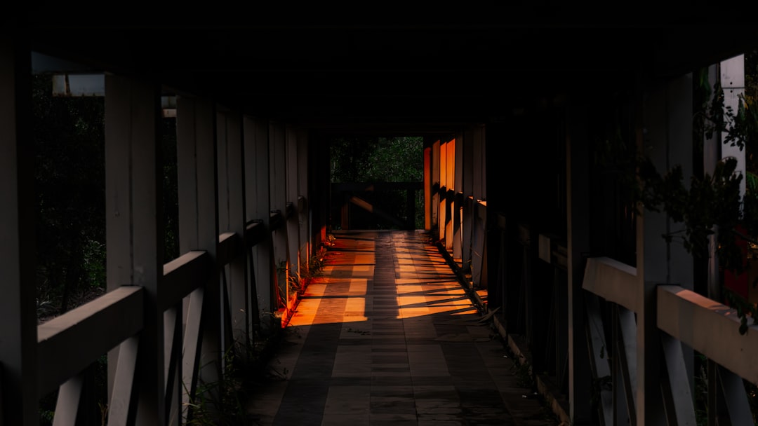 Photo Transport Corridor