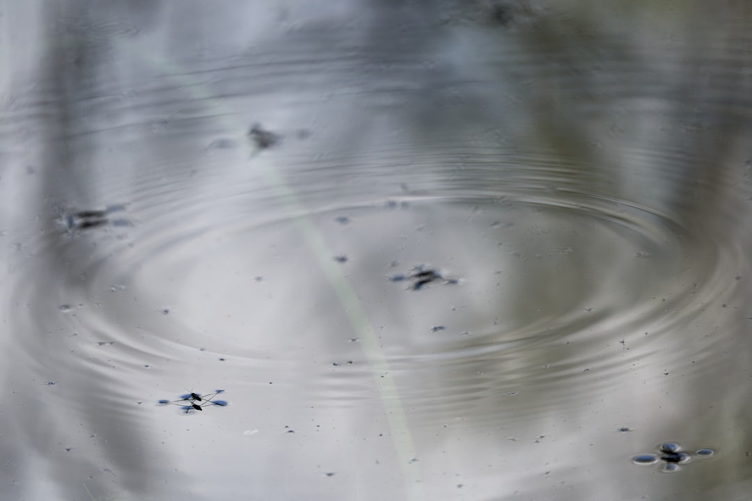 Photo evaporation rates