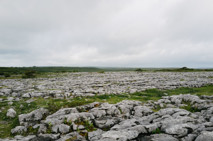 Photo karst limestone