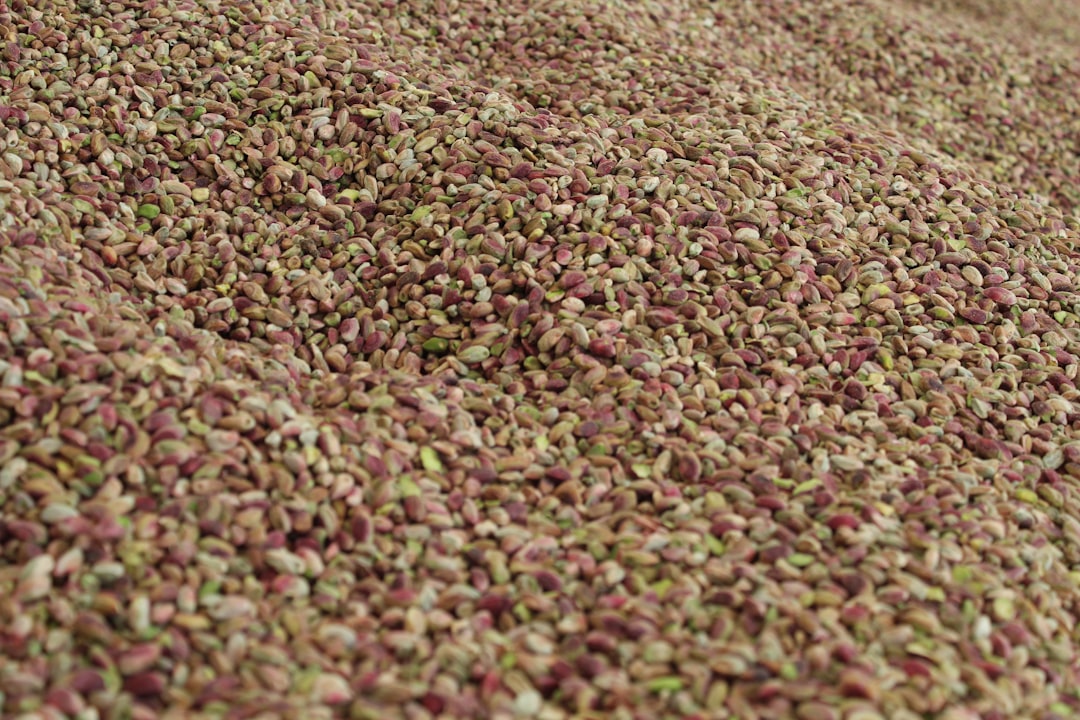 Photo quinoa farming