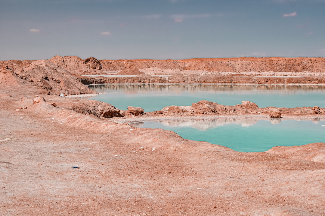 Photo lithium mining biodiversity