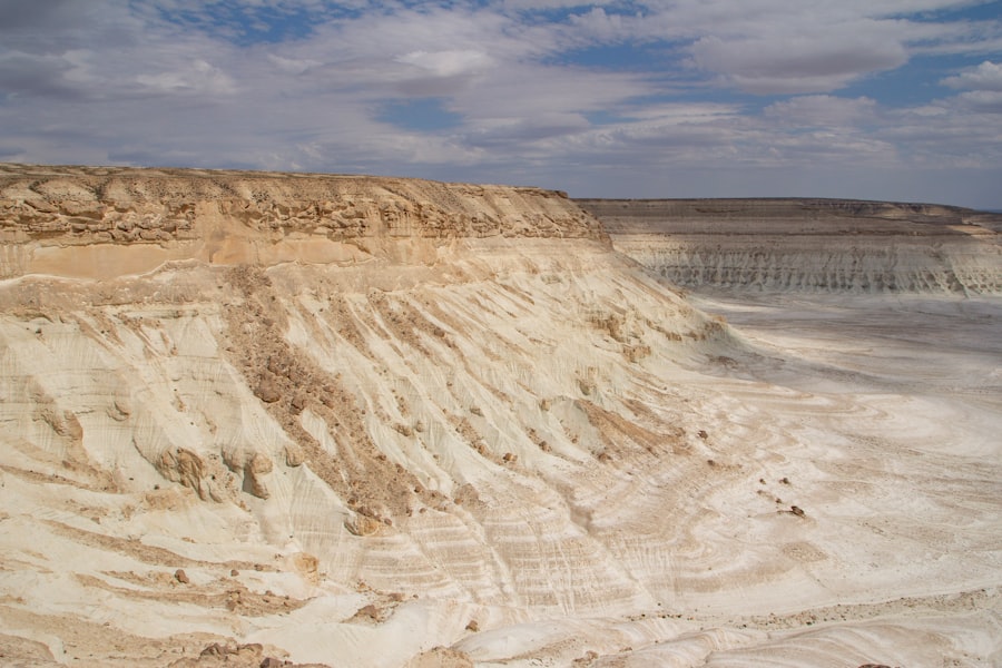 Photo lithium mining biodiversity