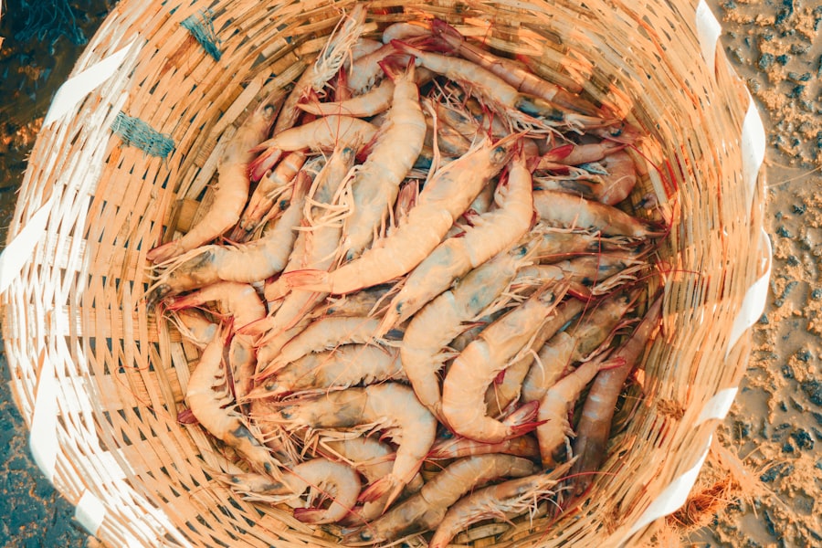 Photo brine shrimp harvest data