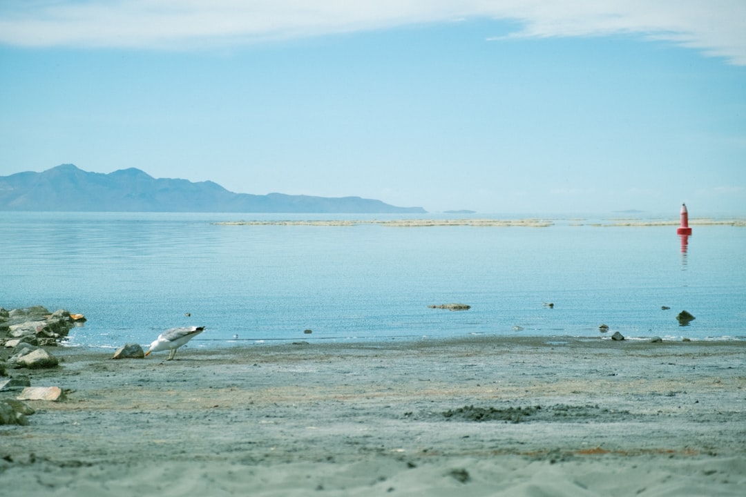 Photo salt lake ecological floor targets