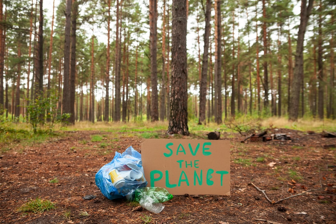 Photo sustainable alternatives