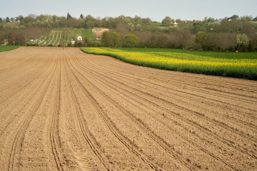 Photo fertilizer trade