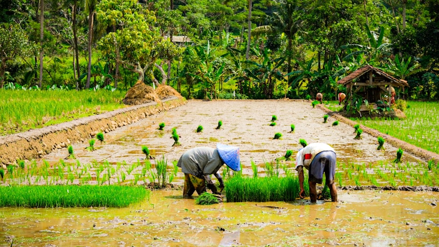 Photo fertilizer trade