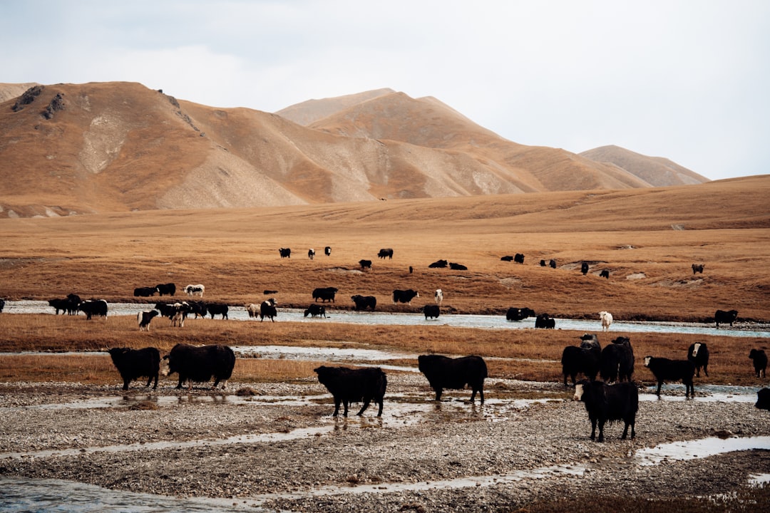 Photo sovereign risk Central Asia water