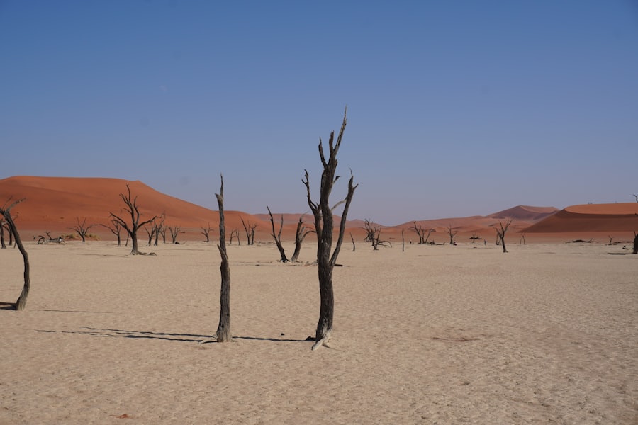 Photo desertification