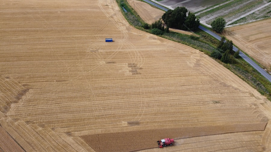 Photo agricultural collapse
