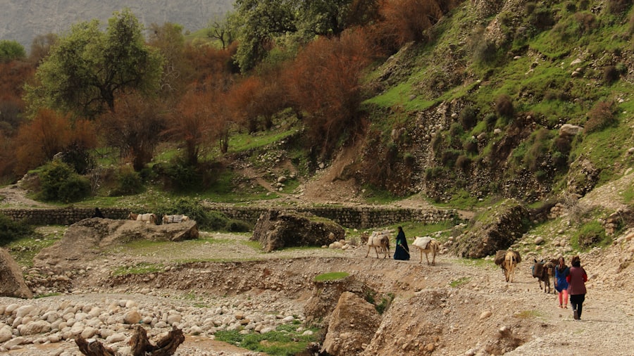 Photo Taliban water projects impact