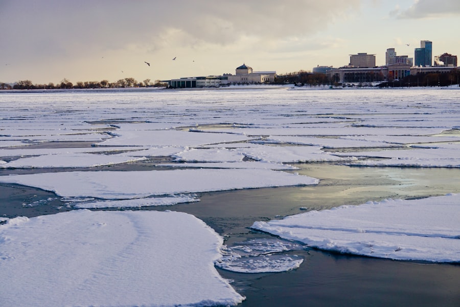 Arctic arbitration venues
