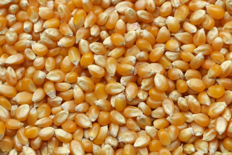Salt tolerant crops