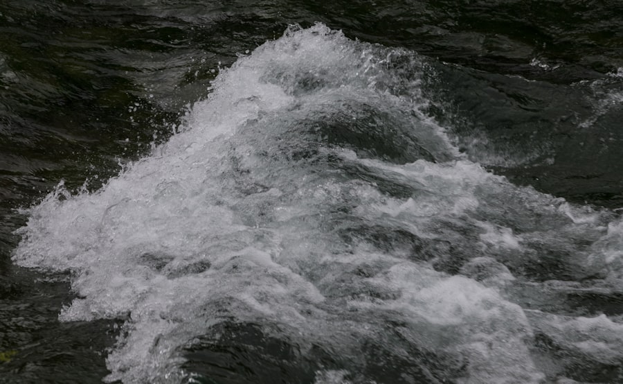 Hydro-politics