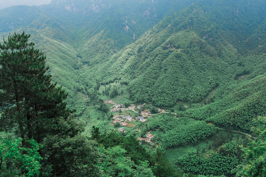 China forest survival KPI audit
