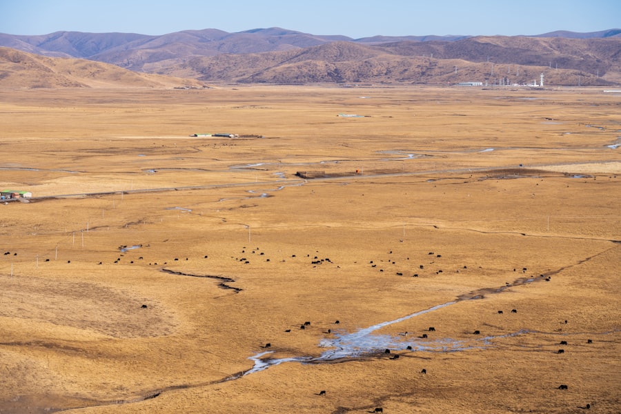 Gobi Desert expansion economic impact China