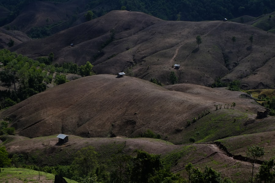 desertification
