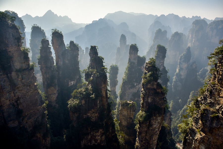 China ghost forests environmental impact