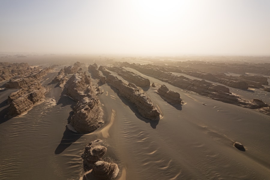 Gobi Desert march
